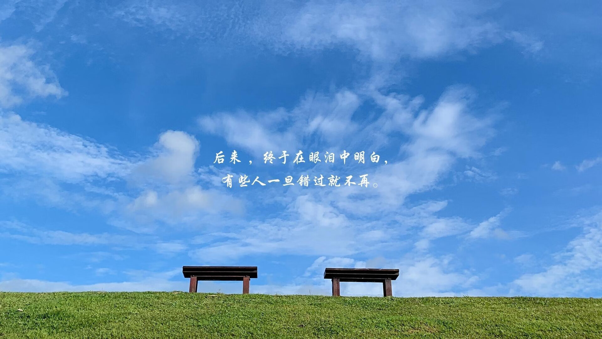 国足主帅临场调度风格分类与成功率统计，国足主帅人选最新消息